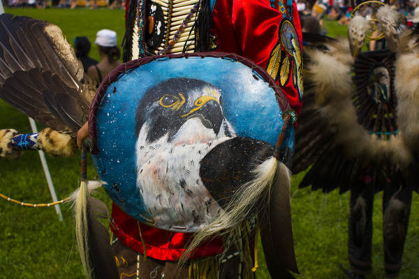 Warrior shield worn with regalia