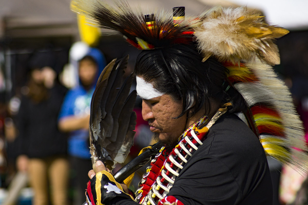 Anishinabee Dancer