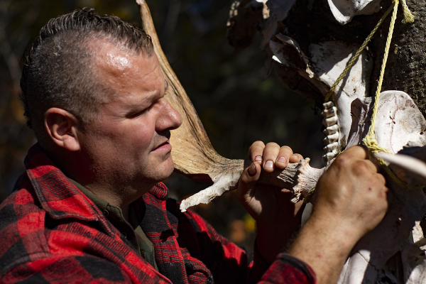 Mike hangs the moose plume on the tree trunk