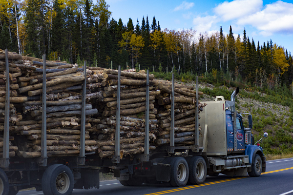 Truck transporting wood stock