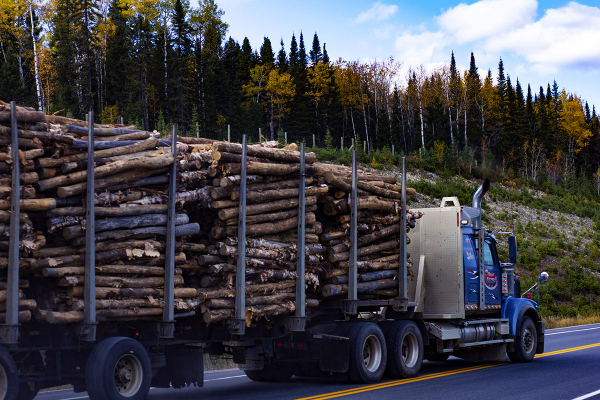 Truck carries wood