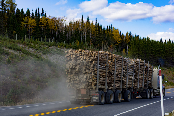 Truck carries wood