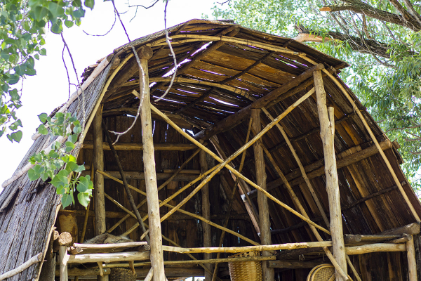 Long House reconstitution