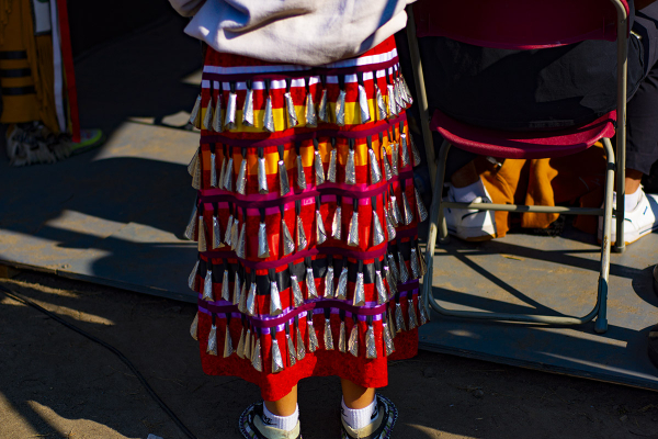 Jingle dress (medicine dress)