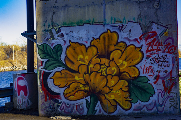 Graphs Pont Mercier bridge