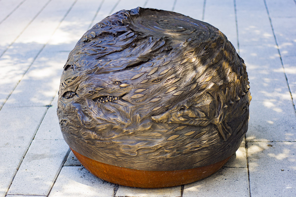 Station 1. Water Life 