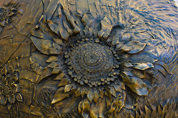 Station 3. Life Sustainers (Flora) 